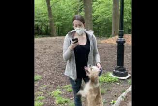 Central Park Karen Case Still Going Forward Despite Birdwatcher’s Refusal To Cooperate