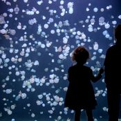 Cheat Codes, Vanic, More to Perform at Hybrid EDM and Gaming Festival to Benefit Vancouver Aquarium