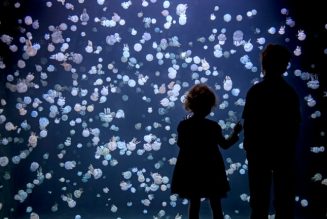 Cheat Codes, Vanic, More to Perform at Hybrid EDM and Gaming Festival to Benefit Vancouver Aquarium