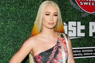 ‘Check’ Out Iggy Azalea’s Latest Sultry Outfit: Pics