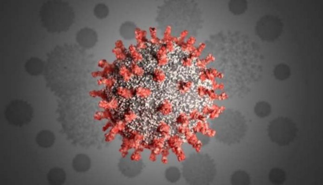 China discovers 16 new coronavirus cases in Xinjiang