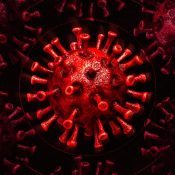 ‘COVID parties’ are a pandemic urban legend that won’t go away