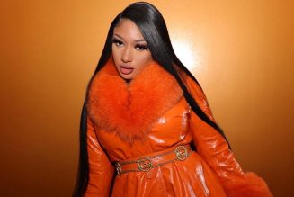 Everything We Know About the Fight Involving Megan Thee Stallion & Tory Lanez (So Far)