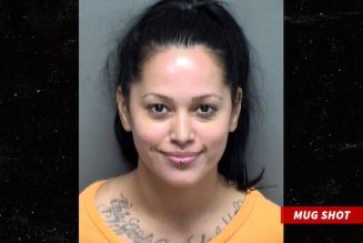 Former ‘Black Ink Crew: Chicago’ Cast Member & N-Word Abuser Lily Arrested For Assaulting GF