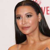 Glee Star Naya Rivera Missing At South California Lake