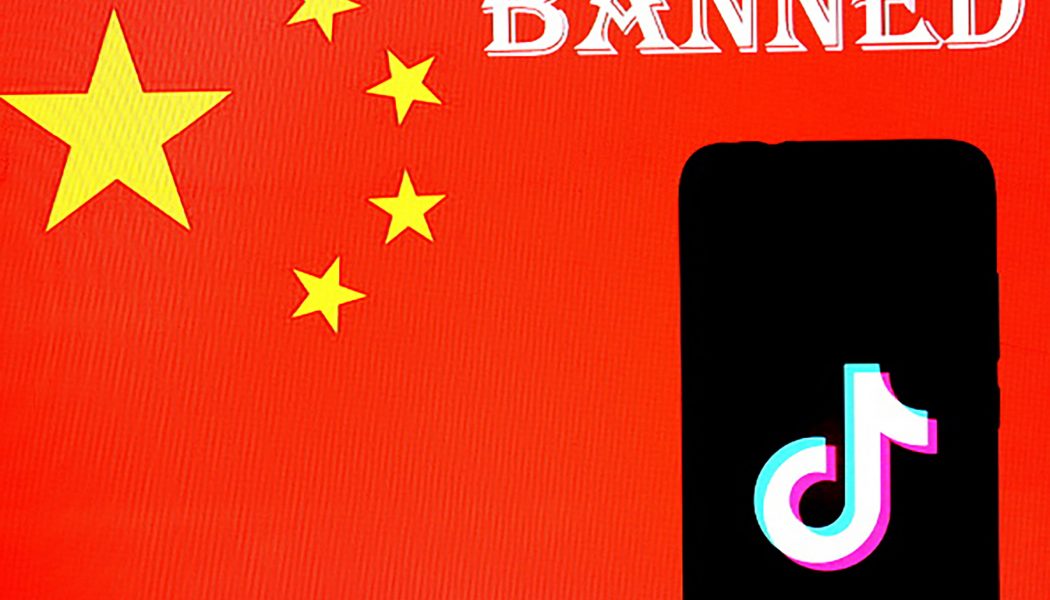 India Bans TikTok and Other Chinese Apps Amid Border Tensions