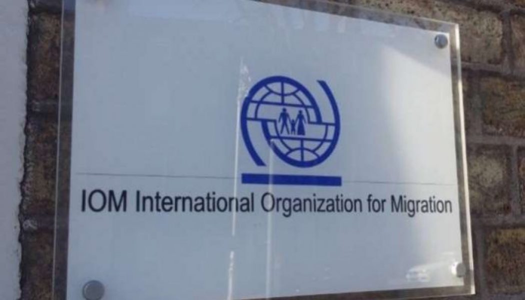 IOM: More than 240 illegal immigrants rescued off Libyan coast