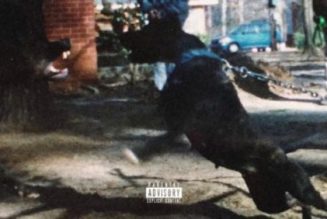 J. Cole – Lion King On Ice