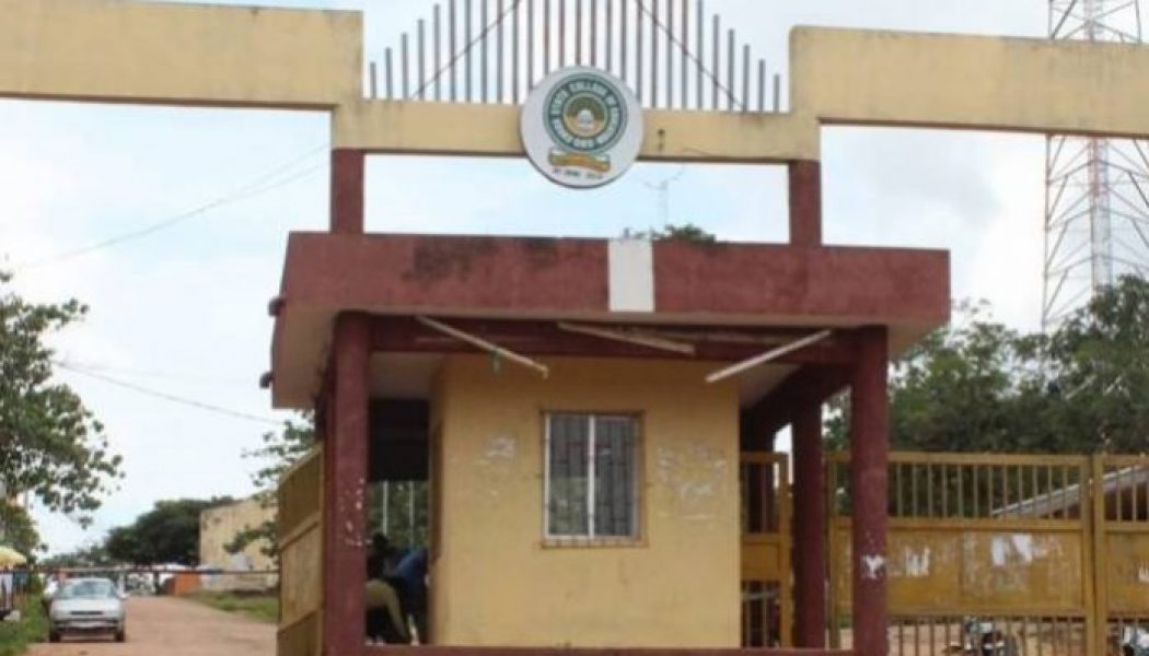 Kwara college speaks on discovery of 2,000 fake certificates