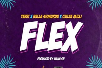 Lakizo – Flex ft. Terri, Bella Shmurda, Ceeza Milli