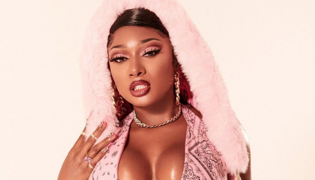 Megan Thee Stallion Says She Was Shot in the Foot
