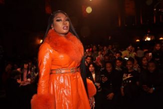 Megan Thee Stallion Takes To IG Live To Address Shooting, Reveals She Was Shot In Both Feet