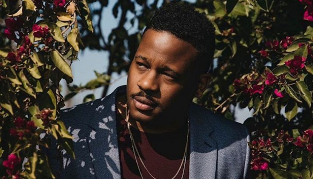 Open Mike Eagle Drops New Song “Neighborhood Protection Spell (Lana Del Biden Nem)”: Stream