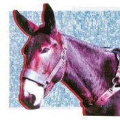 Protomartyr Serve Up New Album Ultimate Success Today: Stream