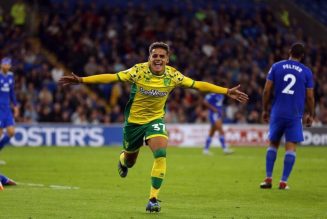 Report: Wolves want Norwich City player, £20m transfer fee