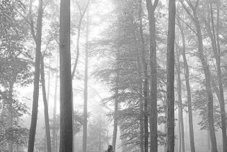 Taylor Swift Premieres New Album folklore: Stream