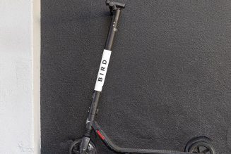 The federal government says Bird got at least a $5 million bailout loan, but the company denies it