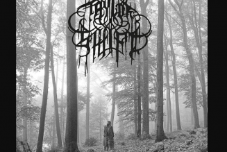 The Internet Has Spoken: Taylor Swift’s Folklore Album Cover Is Actually Very Metal