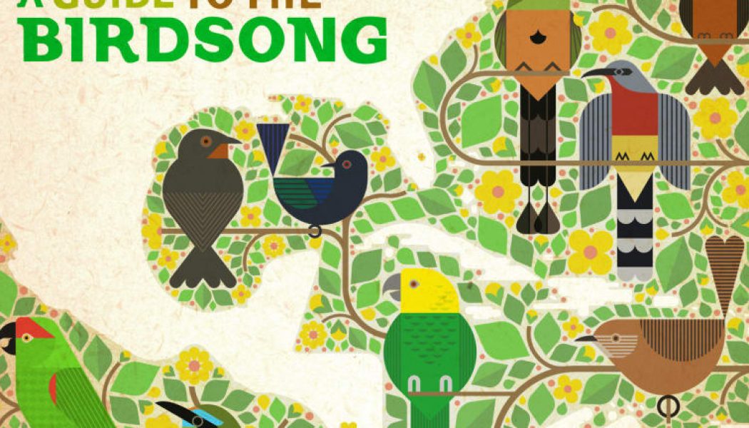 This Electronic Music Album Samples Endangered Songbirds to Raise Awareness of Conservation