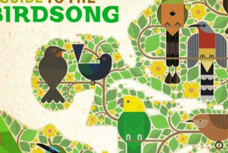 This Electronic Music Album Samples Endangered Songbirds to Raise Awareness of Conservation