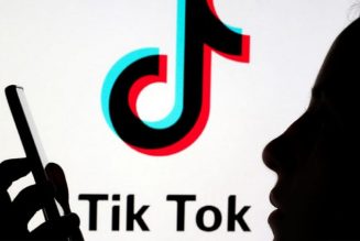 TikTok Glitch Makes Views and Likes Disappear