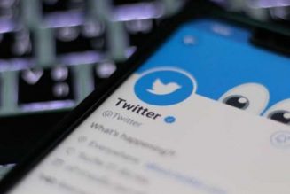 Twitter says passwords spared in yesterday’s attack
