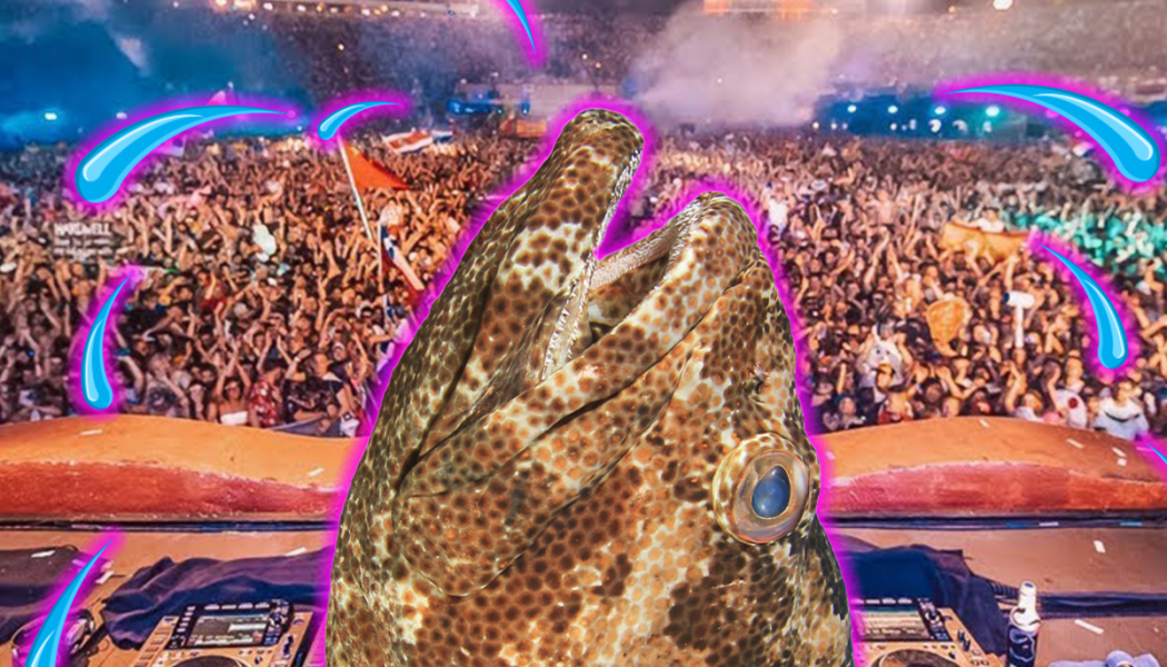 Ultra Music Festival Likely Stressful to Toadfish, According to New Study