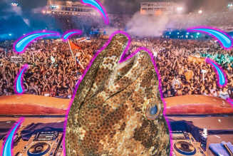 Ultra Music Festival Likely Stressful to Toadfish, According to New Study