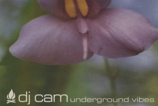 Underground Vibes | 051