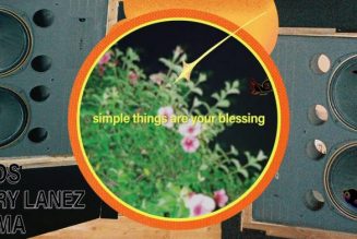 VIDEO: DJDS – Simple Things ft. Rema & Tory Lanez (Lyric Video)