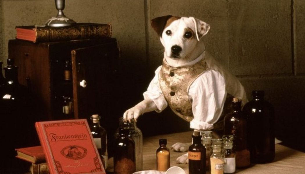 Wishbone to Bark Up More Literary Tales in New Movie