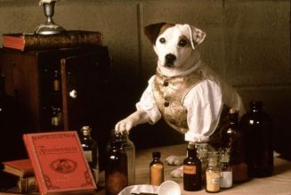 Wishbone to Bark Up More Literary Tales in New Movie
