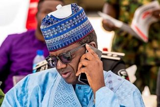 Zamfara offers cows for guns to halt bandit attacks