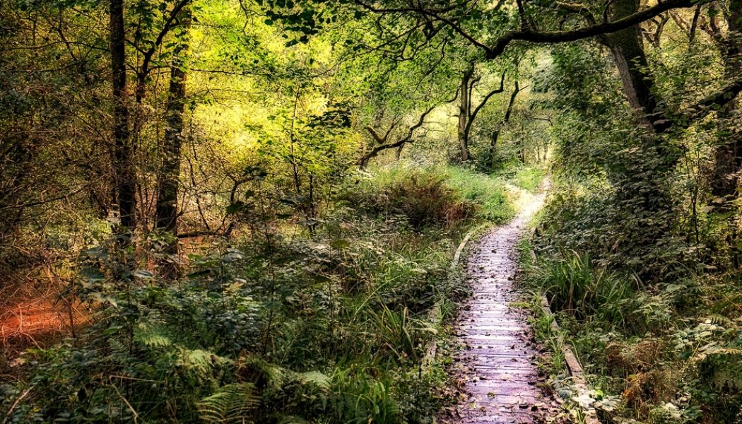 12 best hikes in the North York Moors National Park