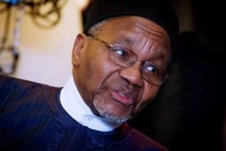 2023: Arewa youths reject Mamman Daura’s call to jettison zoning