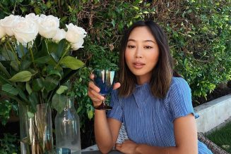 24 Gorgeous Examples of Brunette Highlights to Take to the Salon