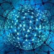 5 Reasons Why Connectivity Will Enable the Workplace of the Future