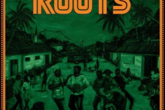 ALBUM: The Cavemen – Roots