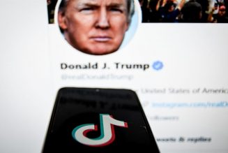 Blank Stare: Donald Trump Issues Executive Order Banning TikTok & WeChat “Transactions” In 45 Days