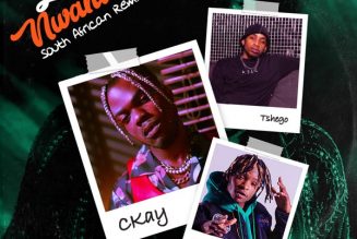 CKay – Love Nwantiti (South African Remix) ft. Gemini Major, Tshego
