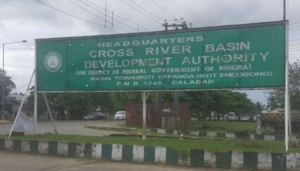 Cross River Basin Authority managing director suspended