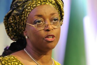 Diezani Alison-Madueke: ‘Yahoo’ boys have become role models