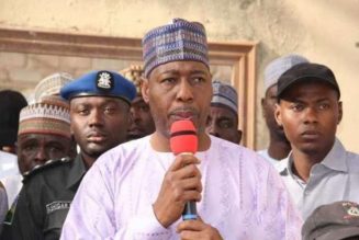 Eid-el Kabir: Borno governor donates four cows to corps members