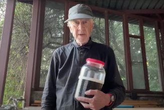 How can you get out of this alive if you don’t know today’s number?