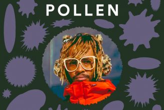 Inside Pollen, the Mysterious Hit Spotify Playlist Where No Rules Apply