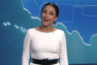 Julia Louis-Dreyfus Skewers Trump During Democratic National Convention: Watch