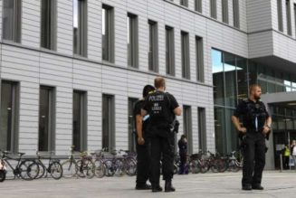 Kremlin slams German medics’ ‘haste’ on Alexei Navalny poisoning