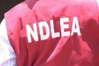 NDLEA arrests soldier with arms, cannabis