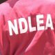NDLEA arrests soldier with arms, cannabis