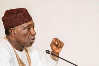 Nigerian government to inject over N600 billion into agriculture for food security – minister